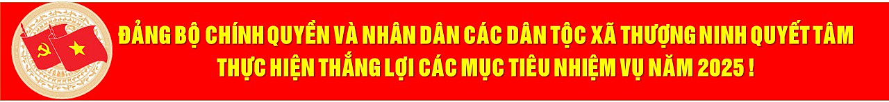 image advertisement